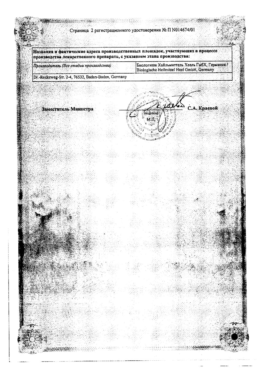 Сертификат на Хелидониум-Гомаккорд Н, капли для приема внутрь 30 мл, 1 шт.