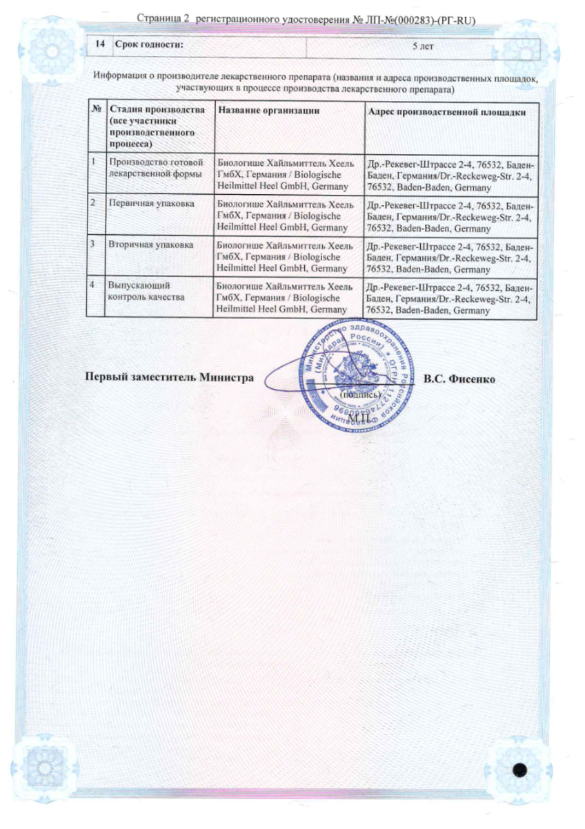 Сертификат на Эуфорбиум Композитум Назентропфен С, спрей назальный 20 мл, 1 шт.